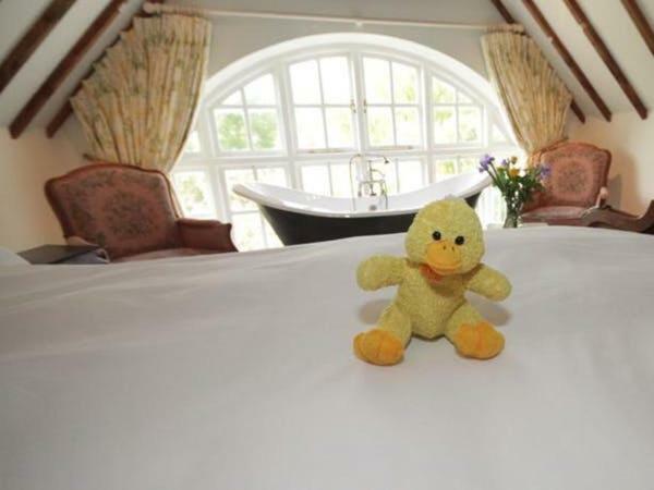 Cherry Orchard Farm South Wraxall Екстер'єр фото